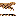Free Pascal Compiler