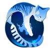 IceCat